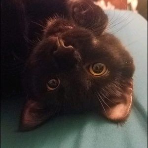 Meet your Posher, Brittany